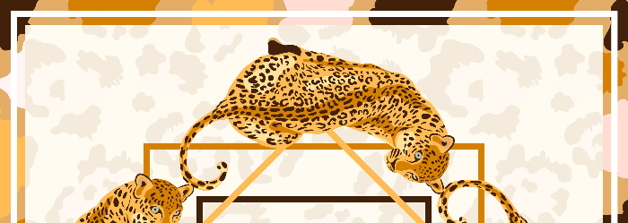 高価買取の可能性が高いバーキンとは？