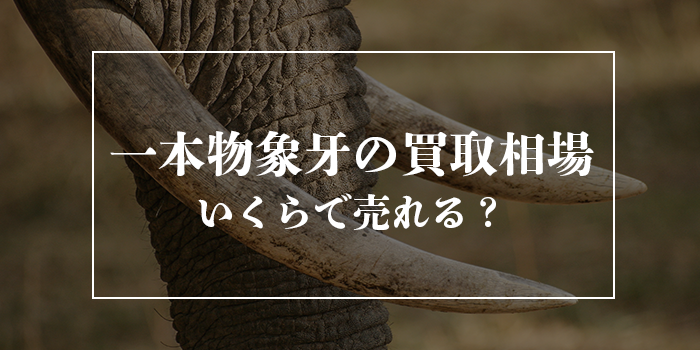 一本物象牙の買取値段相場【価格はいくらで売れる？】