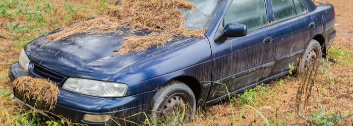 評判から判明！廃車ラボを利用するデメリット